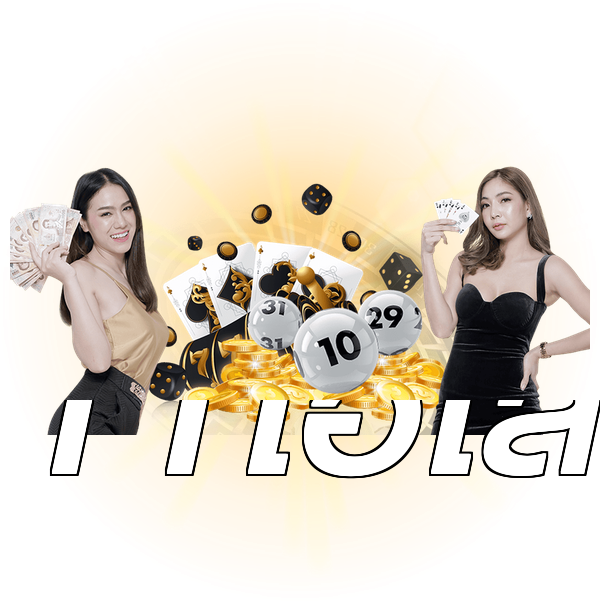 11ไฮโล